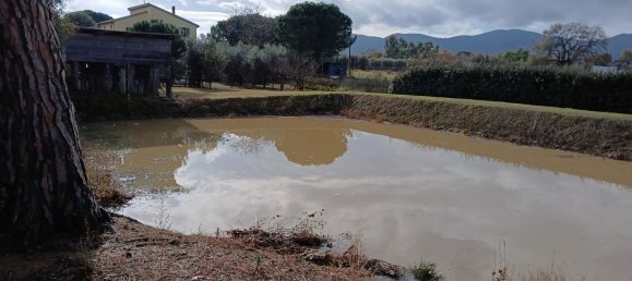 4-Zimmer Haus in Orbetello, Italy, Nr. 90928 8