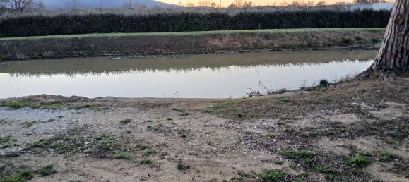 4-Zimmer Haus in Orbetello, Italy, Nr. 90928 4