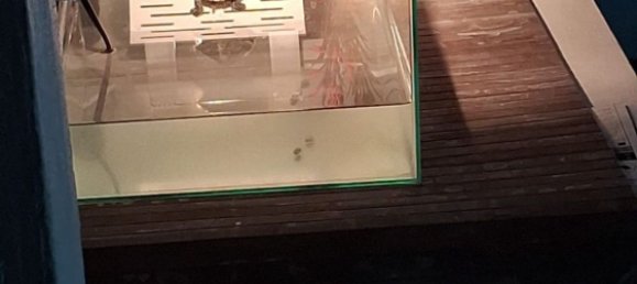 4-Zimmer Haus in Orbetello, Italy, Nr. 90928 10