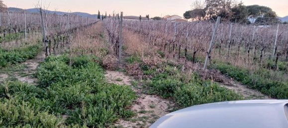 4-Zimmer Haus in Orbetello, Italy, Nr. 90928 2