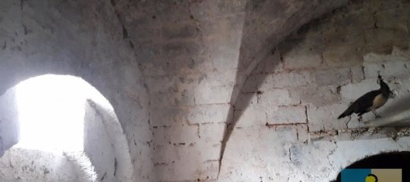 15-salle Maison à San Vito dei Normanni, Italy No. 230263 5