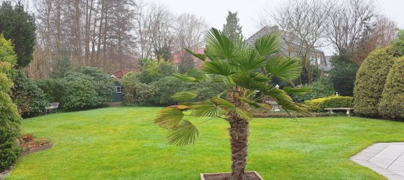 3 rooms Bungalow in Bremen, Germany No. 105938 12