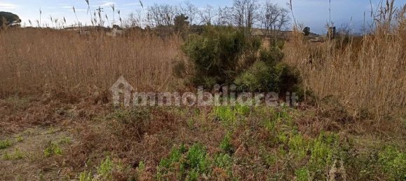 5-Zimmer Villa in Lipari, Italy, Nr. 84691 10