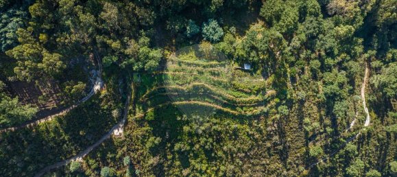 Terrain à Louredo, Portugal 2120m² No. 55073 10