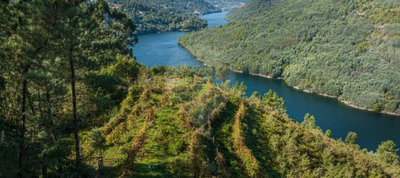 Terrain à Louredo, Portugal 2120m² No. 55073 2