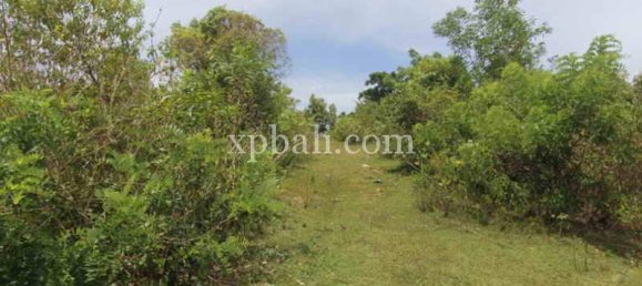 Terrain à South Kuta, Indonesia 21440m² No. 4151 7