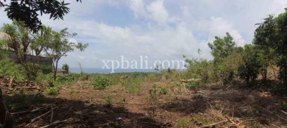 Terrain à South Kuta, Indonesia 21440m² No. 4151 6