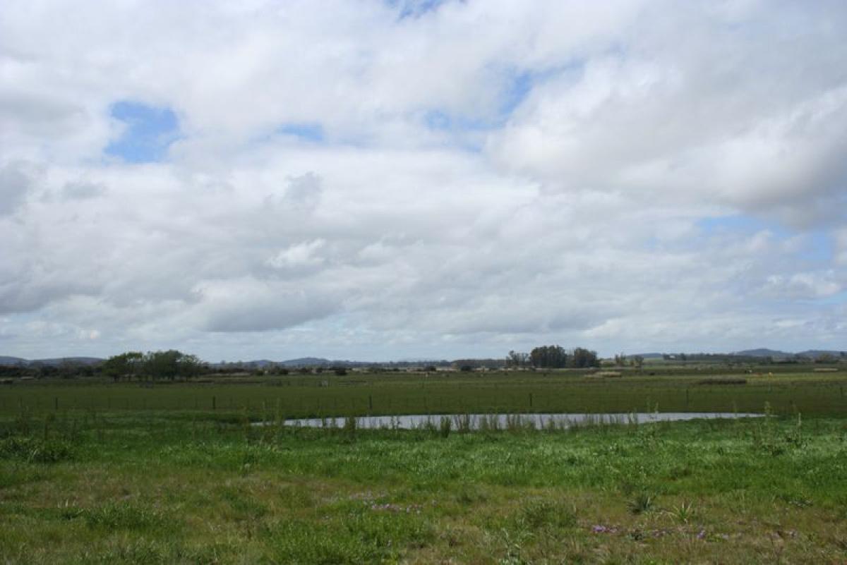Terreno en Maldonado, Uruguay No. 16110