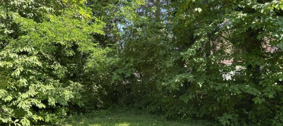 Casa de 3 dormitorios en Angern an der March, Austria No. 150455 24