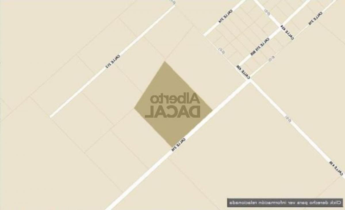 Земельный участок в Campo Creado, Аргентина № 34013