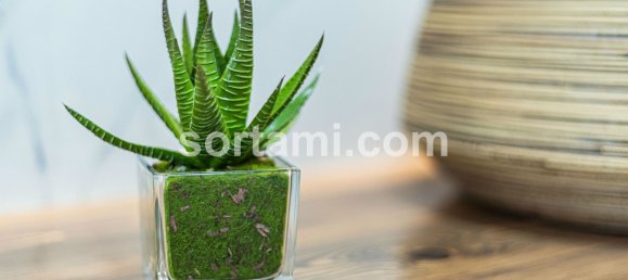 Дом с 4 спальнями в Поршеш, Португалия № 78413 18