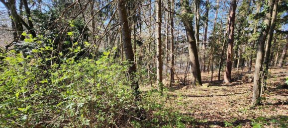 2232m² Land in Andritz, Austria No. 19293 6