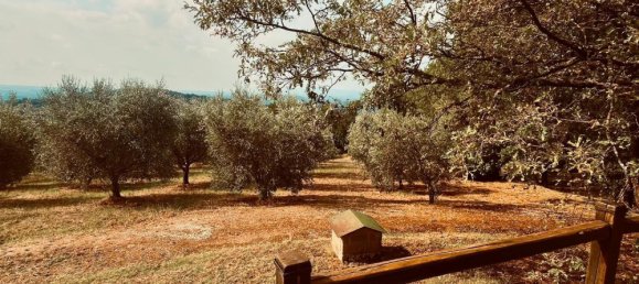 Casa de 7 dormitorios en Sorano, Italy No. 318100 12