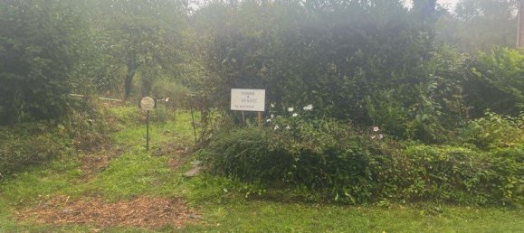 Terreno en Pas-de-Calais, France No. 323115 3