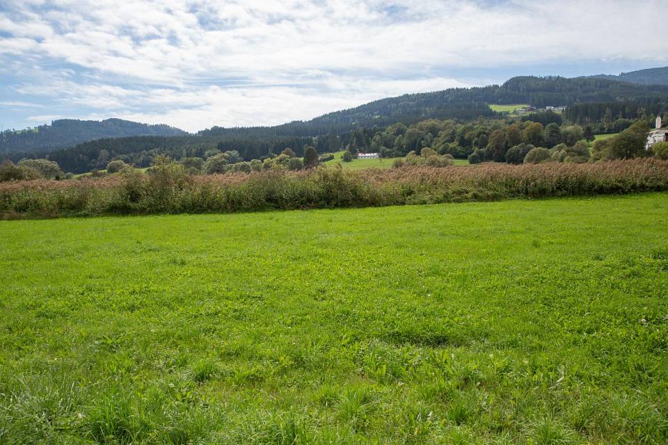 5680m² Land in Bad St. Leonhard im Lavanttal, Austria No. 79076