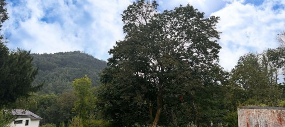  Land in Baden-Baden, Germany No. 111581 2