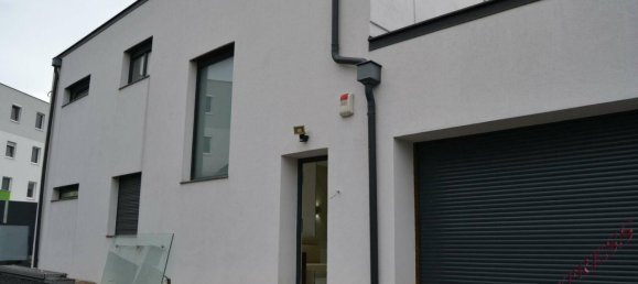 Дом с 6 комнатами в Миттерндорф ан дер Фиша, Австрия № 160040 46