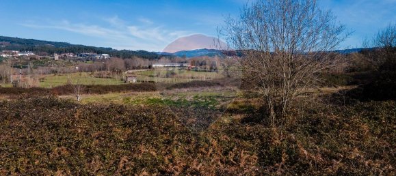 3 Schlafzimmer Haus in Moreira de Conegos, Portugal, Nr. 169880 10