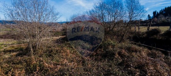 3 Schlafzimmer Haus in Moreira de Conegos, Portugal, Nr. 169880 11