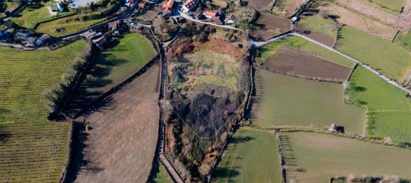 3 Schlafzimmer Haus in Moreira de Conegos, Portugal, Nr. 169880 5