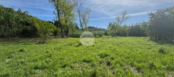 Grundstück in Monterotondo, Italy, Nr. 339250 8