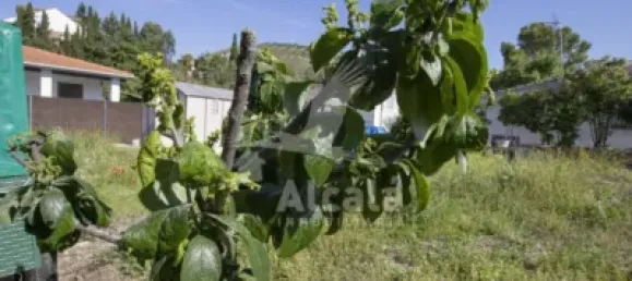  قطعة أرض في Zaragoza, Spain 487متر مربع رقم 145673 27