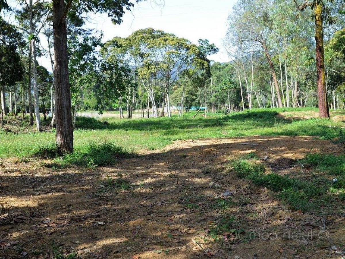 Terreno en Antioquia, Colombia No. 465