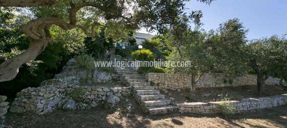 9-Zimmer Villa in Gagliano del Capo, Italy, Nr. 144233 3