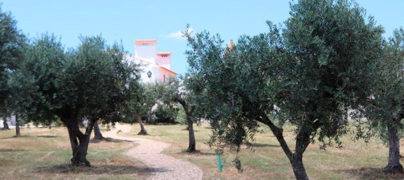 5 bedrooms House in Portalegre, Portugal No. 111194 23