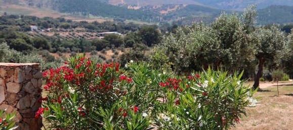 5 bedrooms House in Portalegre, Portugal No. 111194 24