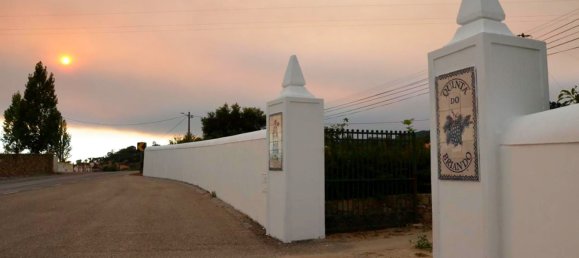 5 bedrooms House in Portalegre, Portugal No. 111194 21