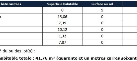 1 chambre Maison de ville à Brebières, France No. 42885 23