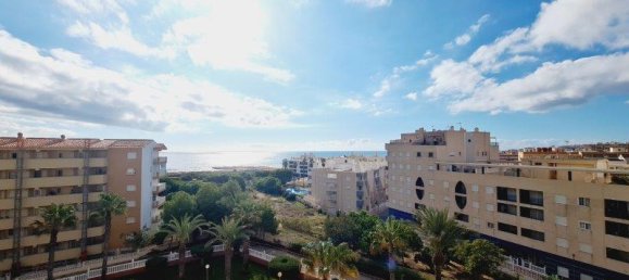 3 غرف نوم شقة في La Mata, Spain رقم 9144 16