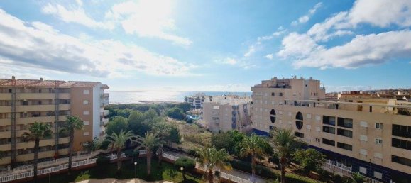 3 غرف نوم شقة في La Mata, Spain رقم 9144 15