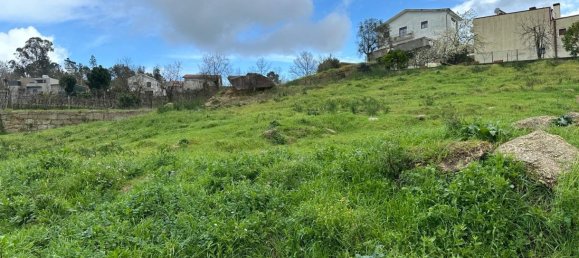  Land in Marco de Canaveses, Portugal No. 57831 5