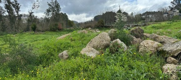  Land in Marco de Canaveses, Portugal No. 57831 19