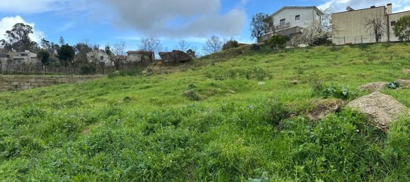  Land in Marco de Canaveses, Portugal No. 57831 3