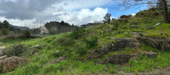  Land in Marco de Canaveses, Portugal No. 57831 13