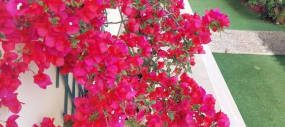 4 rooms House in Sabaudia, Italy No. 47734 36