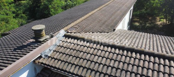 4 bedrooms Villa in Polesine Zibello, Italy No. 145132 18