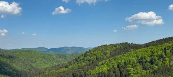 3 bedrooms House in Lower Austria, Austria No. 180972 39