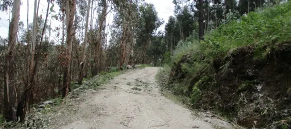 قطعة أرض في Guilhofrei, Portugal 8070متر مربع رقم 44443 2