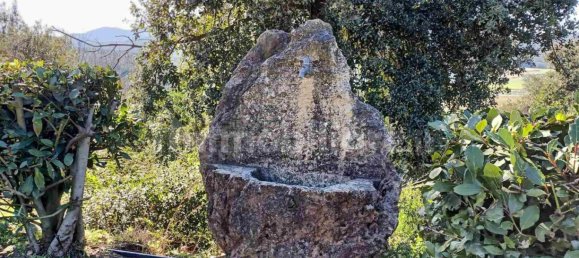 Casa T9 em Massa Marittima, Italy N.º 221935 11