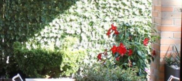 3 غرف نوم شقة في Cernusco sul Naviglio, Italy رقم 345278 18