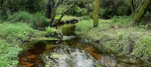 4 bedrooms House in Mellac, France No. 284577 3