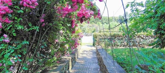 7 rooms House in Montaione, Italy No. 31070 21