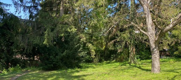  قطعة أرض في Klosterneuburg, Austria رقم 128925 3