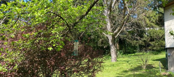  قطعة أرض في Klosterneuburg, Austria رقم 128925 7