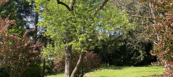  قطعة أرض في Klosterneuburg, Austria رقم 128925 6