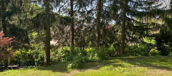  قطعة أرض في Klosterneuburg, Austria رقم 128925 4